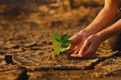 Crisi clima cosa accade?