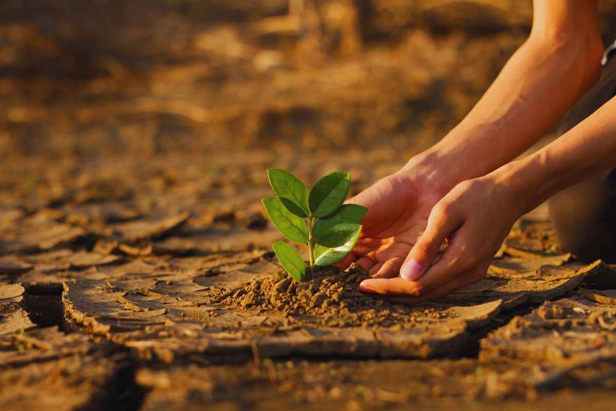 Crisi clima cosa accade?